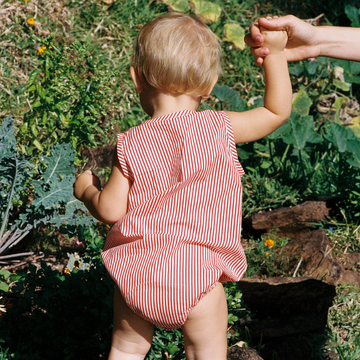Cedar Suit / Meri Stripe