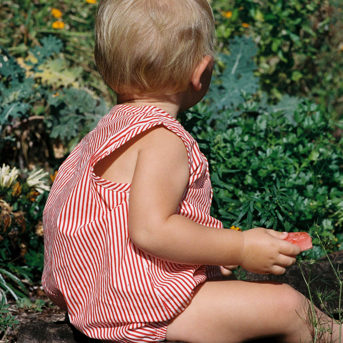 Cedar Suit / Meri Stripe