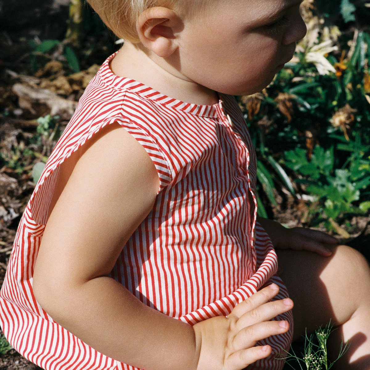 Cedar Suit / Meri Stripe