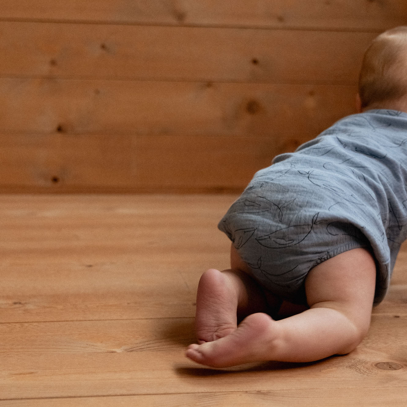 Cedar Suit Muslin / Blue Whale