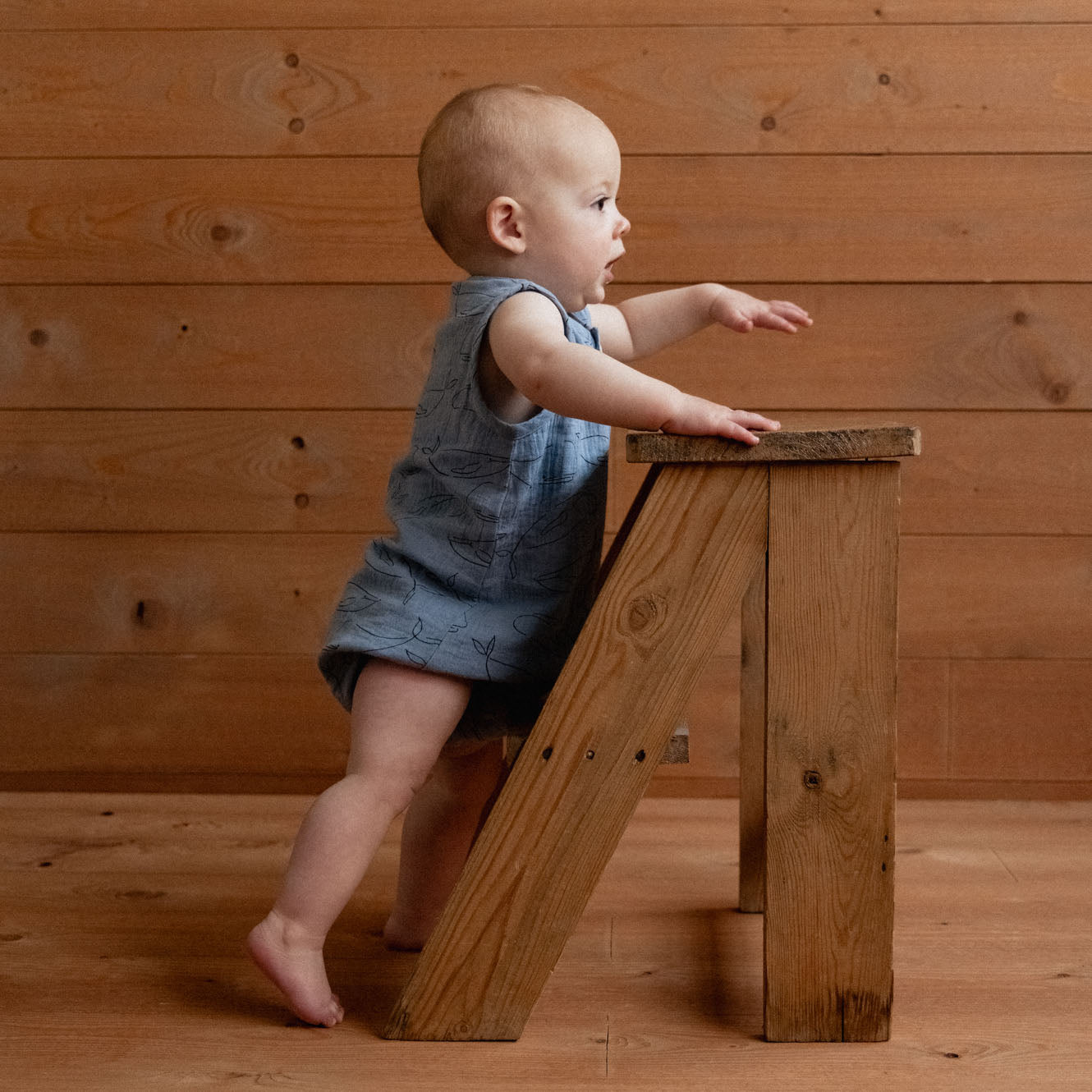 Cedar Suit Muslin / Blue Whale