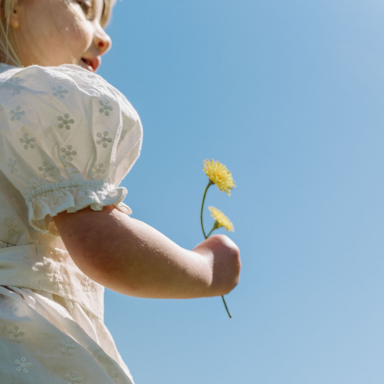Annabelle Dress / Ivory Flora
