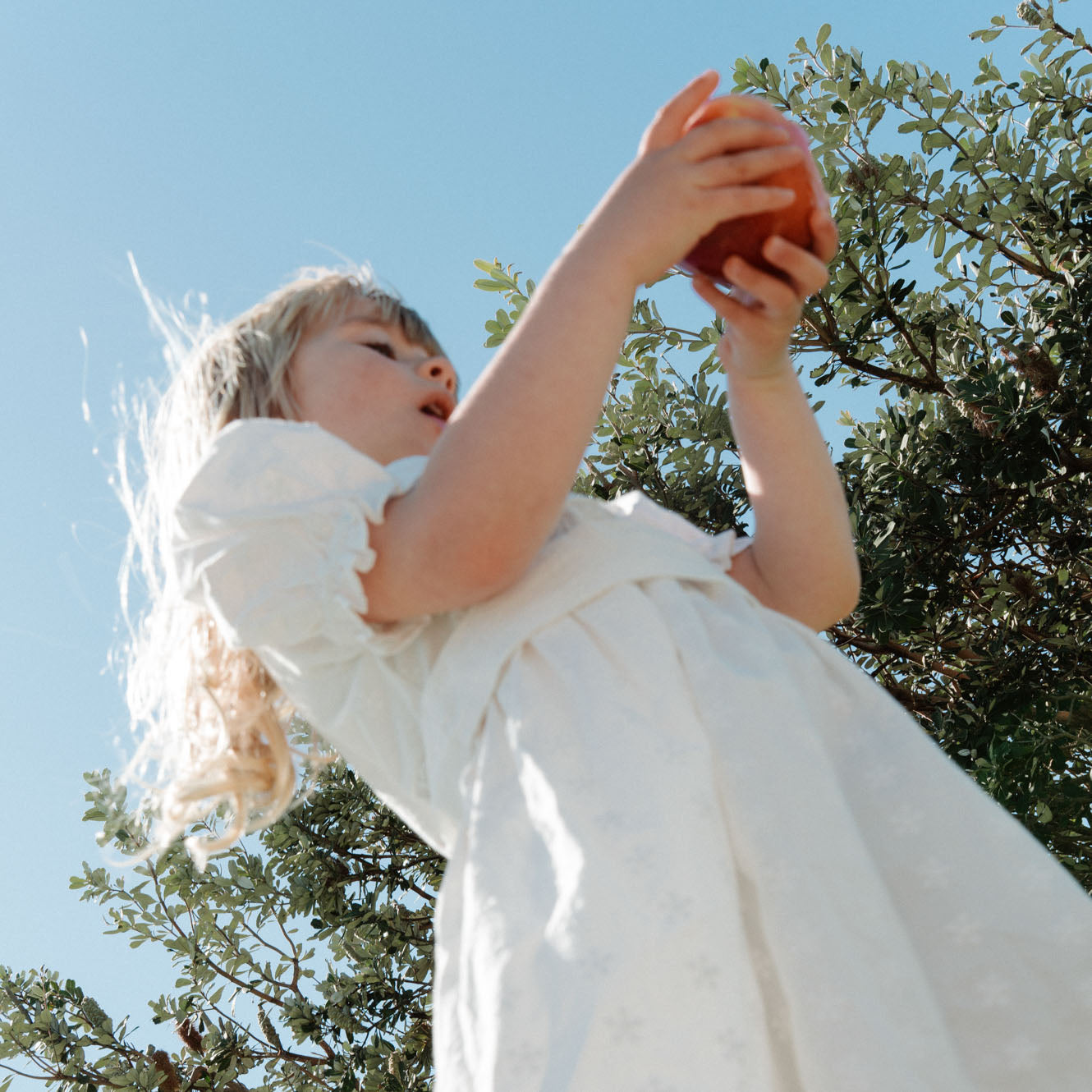 Annabelle Dress / Ivory Flora