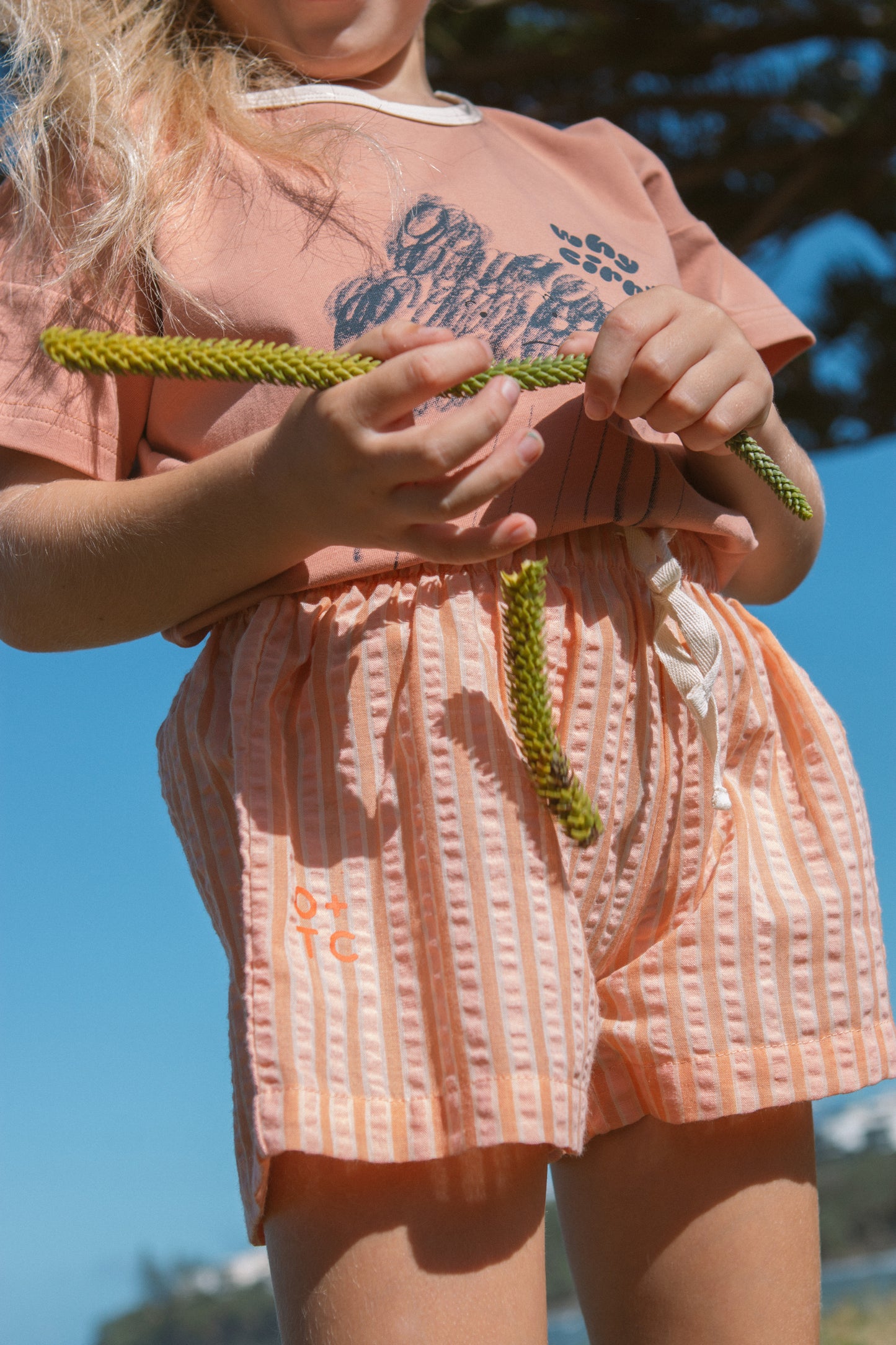 Cantaloupe Stripe Wide Shorts