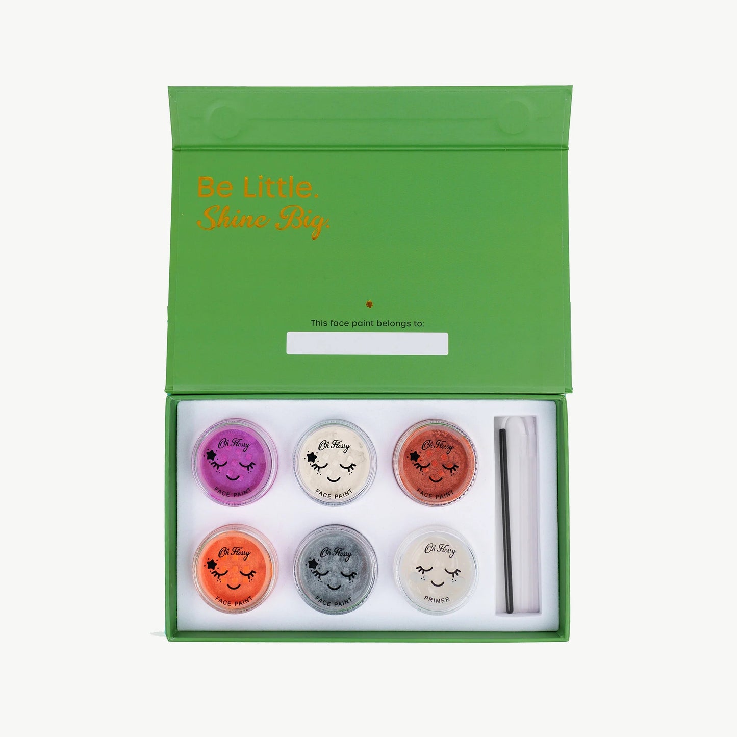 Face Paint Set / Wild Wonders