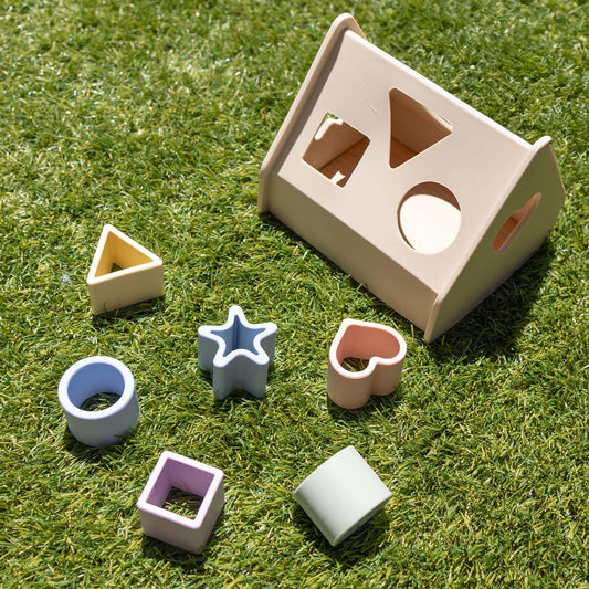 Silicone Shape Sorting Set