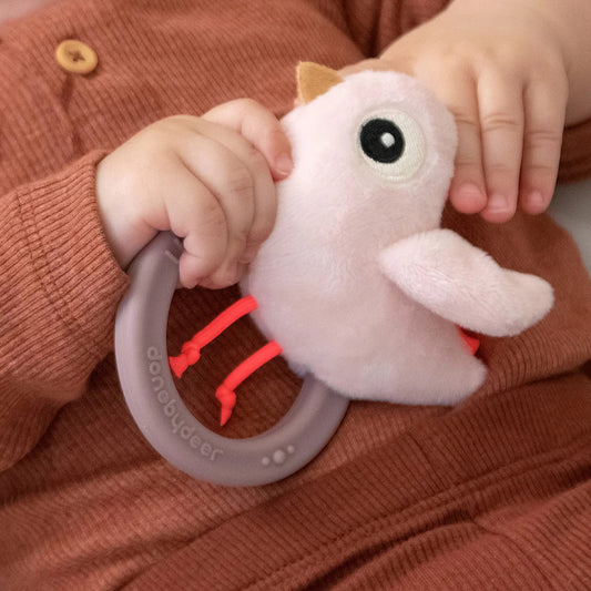 Sensory Rattle with Teether / Powder