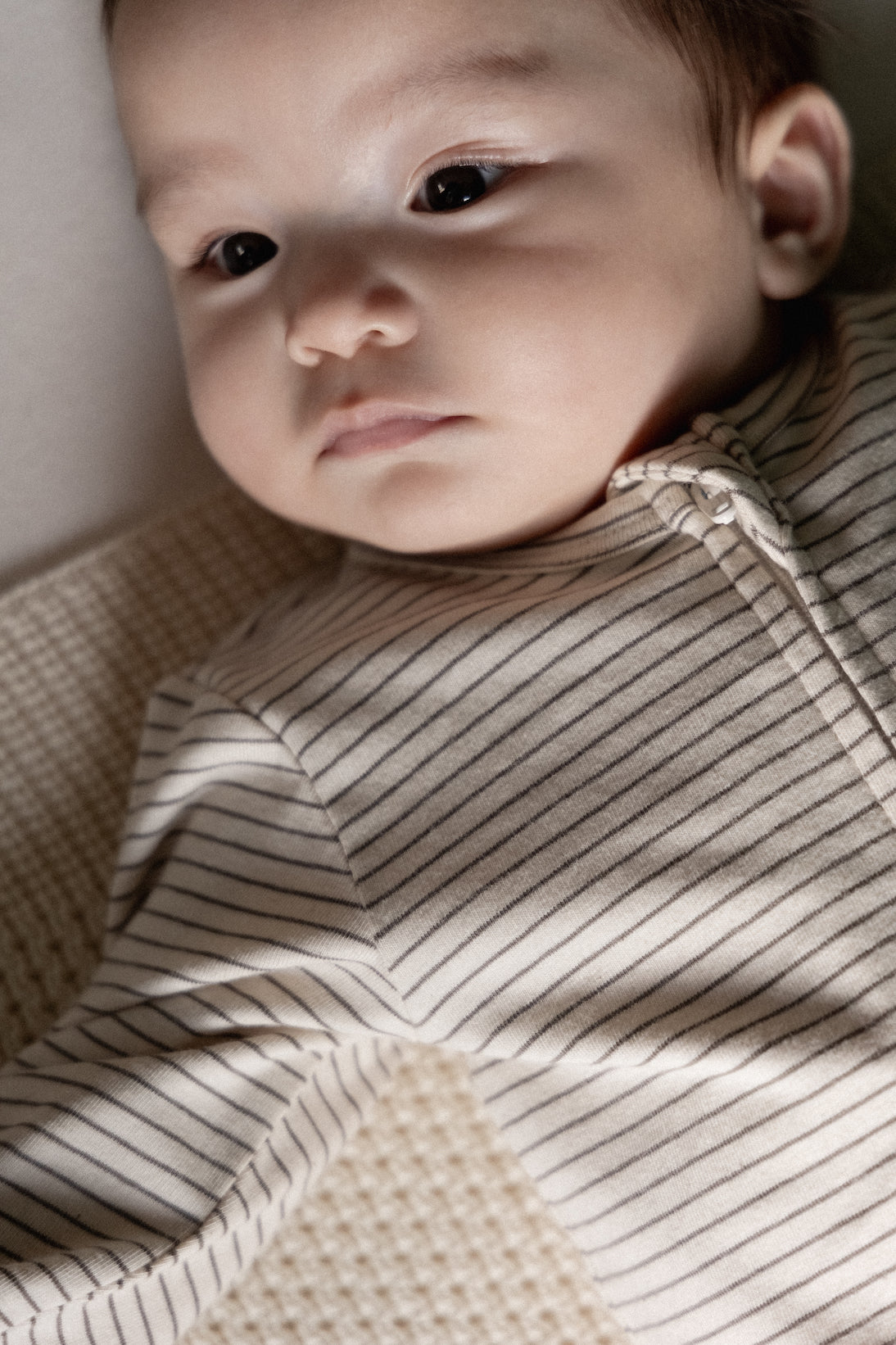 Dreamlands Suit / Mushroom Pinstripe