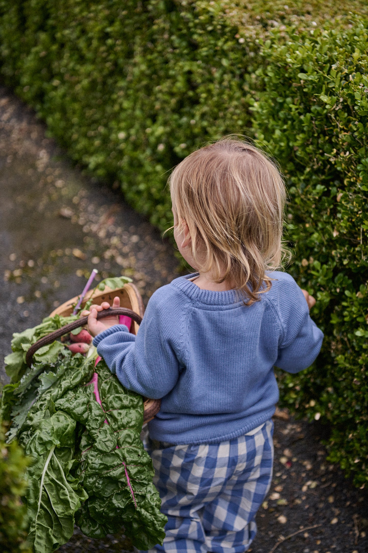 Billy Jumper / Dusky Blue