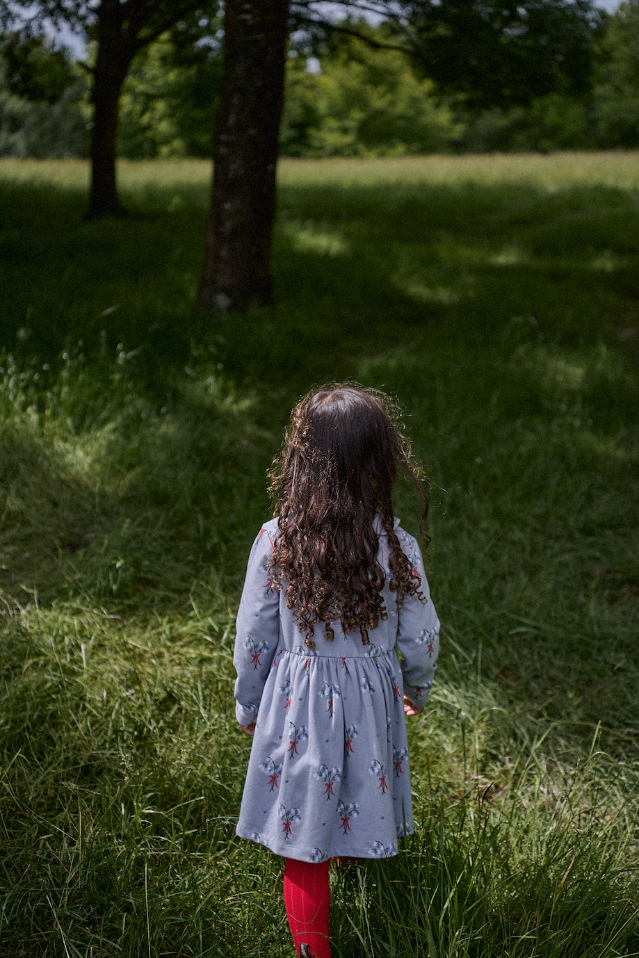 Agnes Dress / Bluebelle