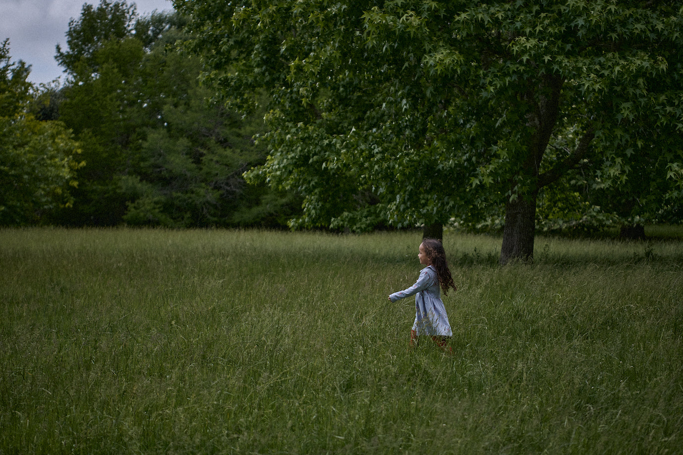 Agnes Dress / Bluebelle