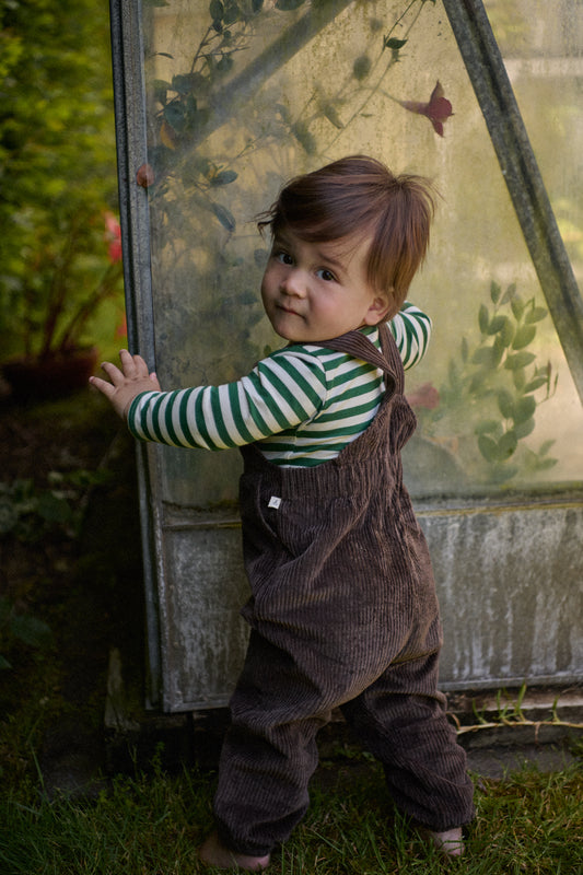 Teddy Cord Overalls / Pinecone