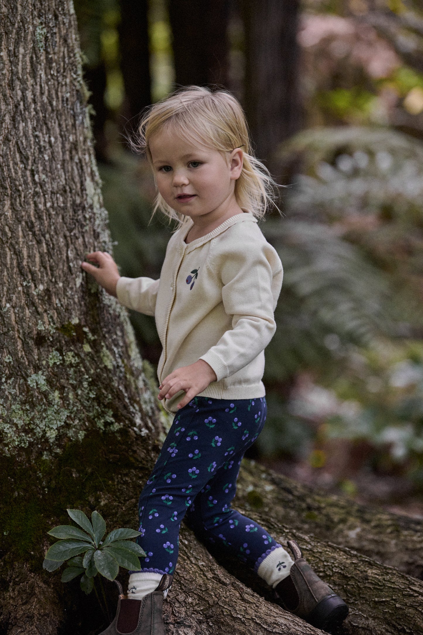Leggings / Petite Winter Berry