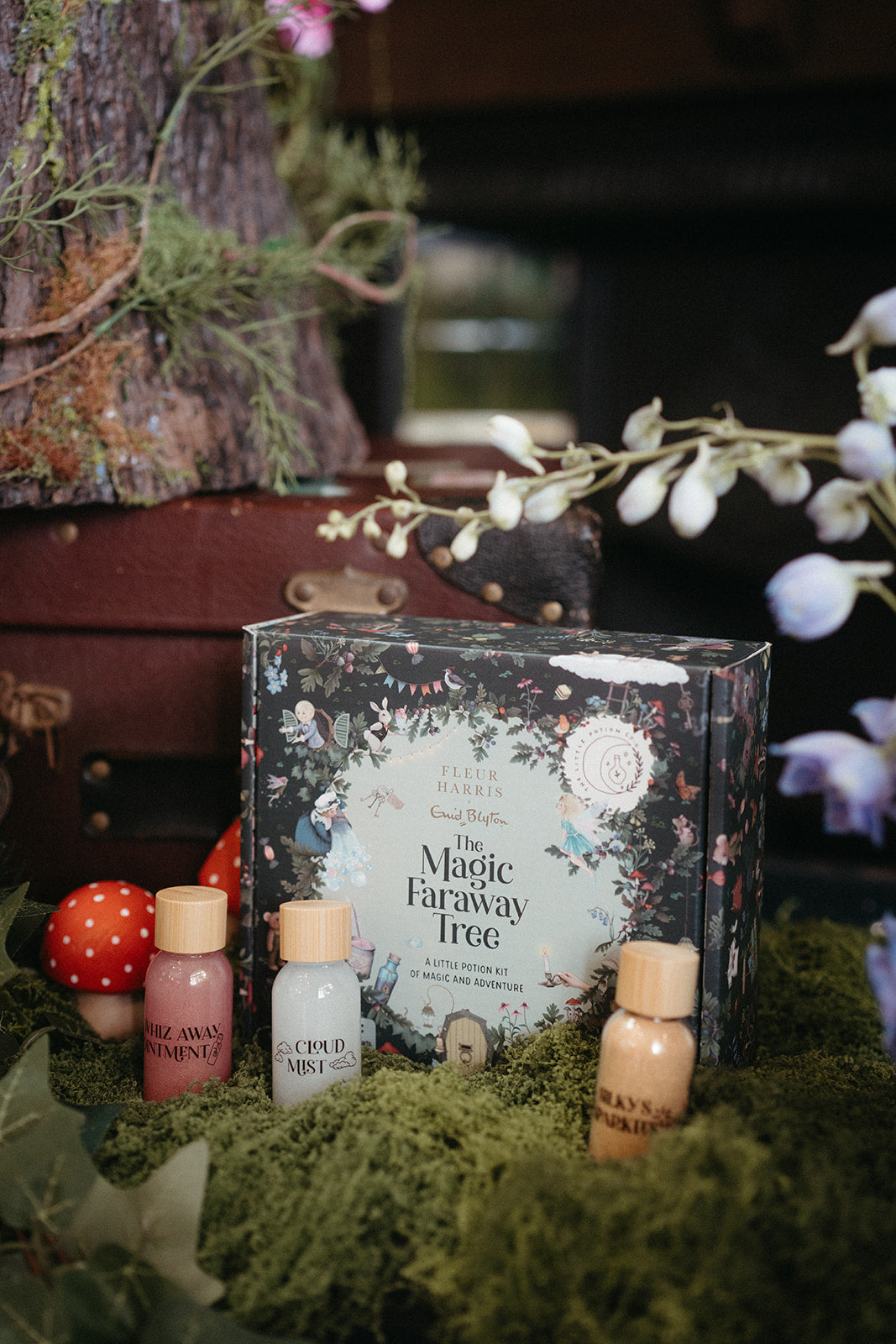 Fleur Harris x Enid Blyton - The Magic Faraway Tree Potion Kit