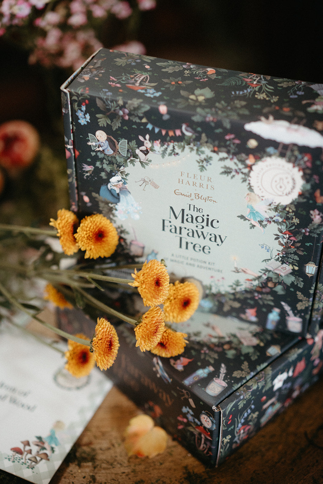 Fleur Harris x Enid Blyton - The Magic Faraway Tree Potion Kit