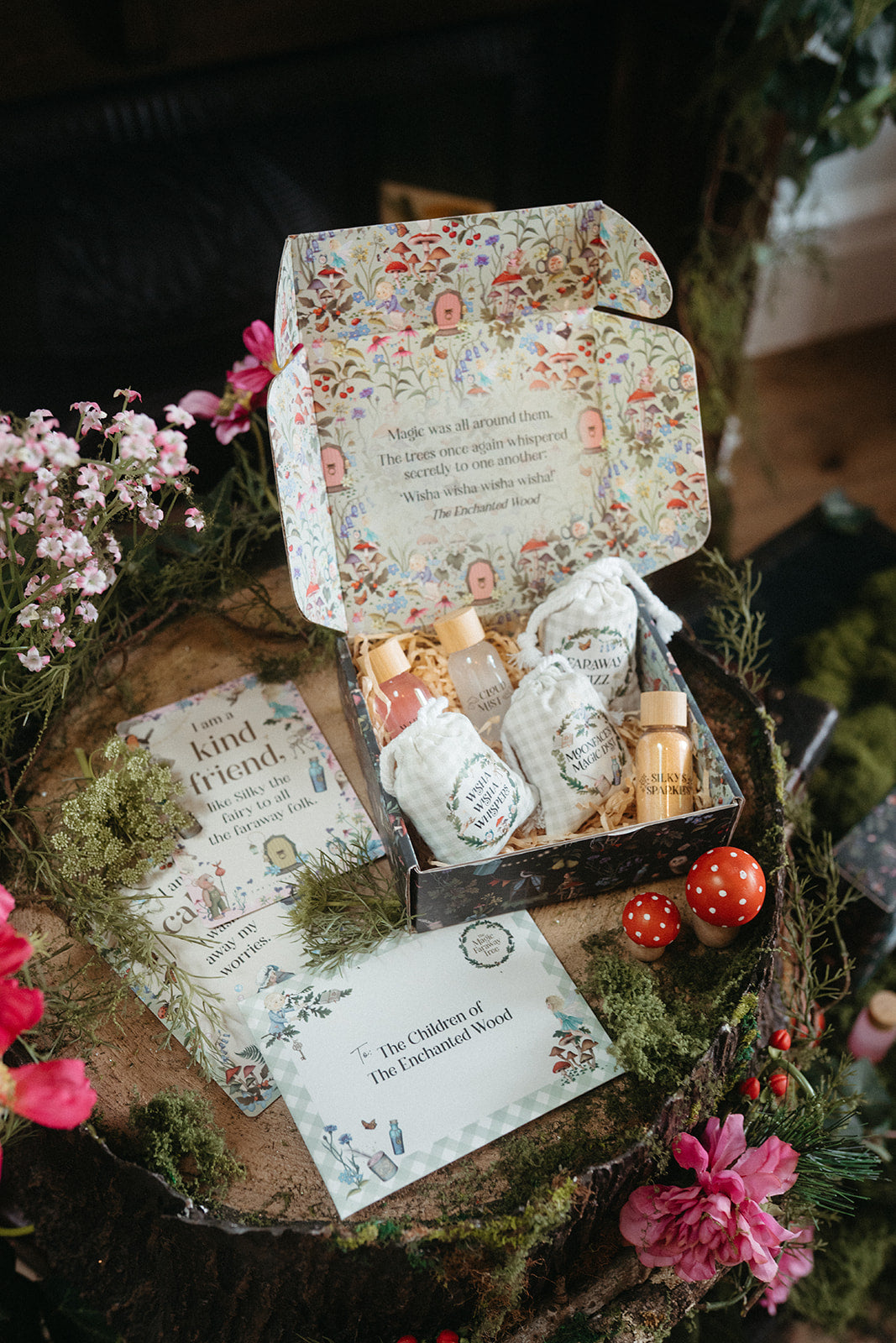 Fleur Harris x Enid Blyton - The Magic Faraway Tree Potion Kit