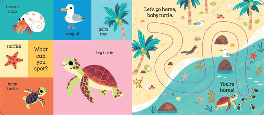 Lets Go Home Baby Turtle