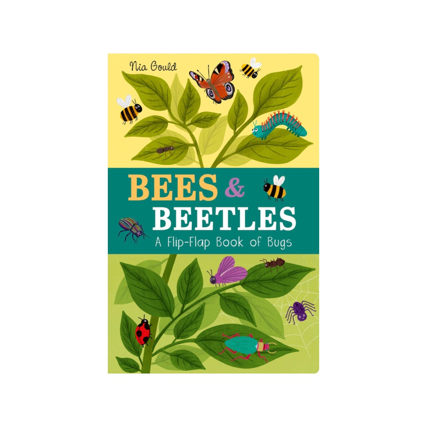 Bees & Beetles: A Flip-Flap Book of Bugs