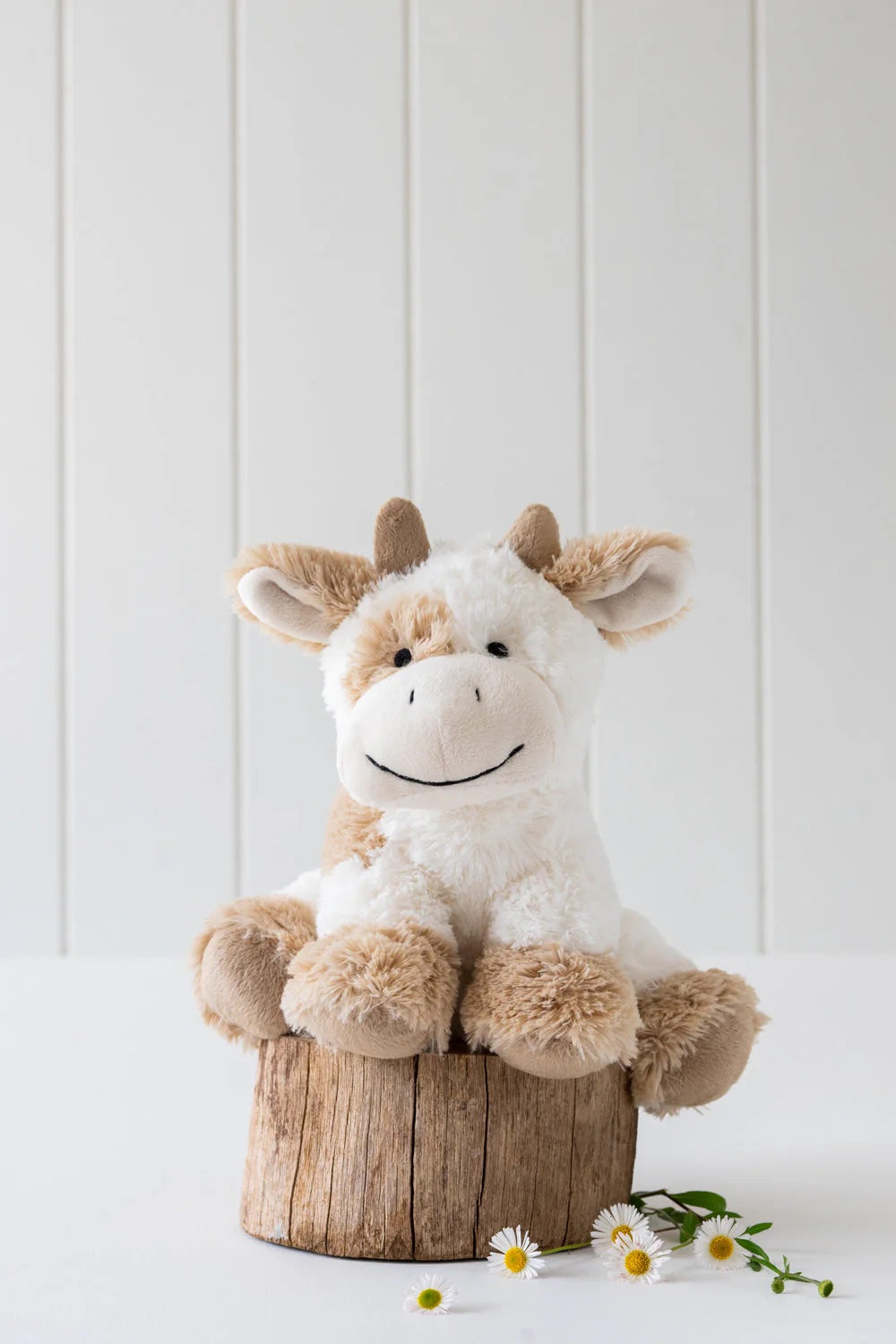 Coco the Cow