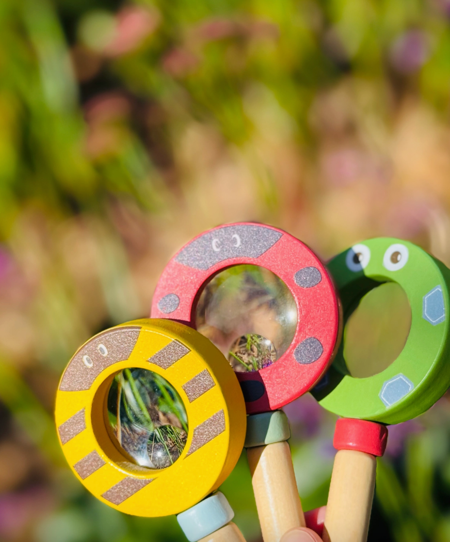 Wooden Magnifying Glass / Bee