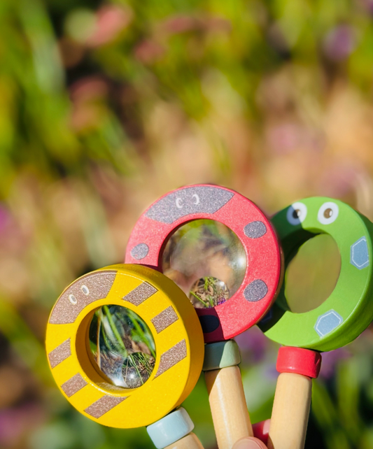 Wooden Magnifying Glass / Bee