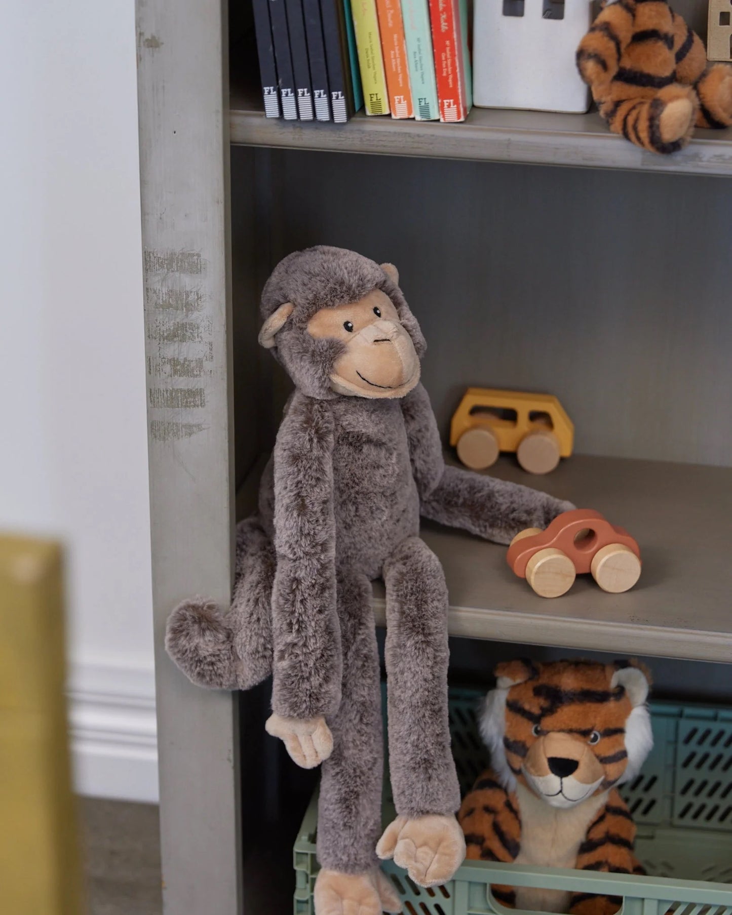 Mani the Monkey
