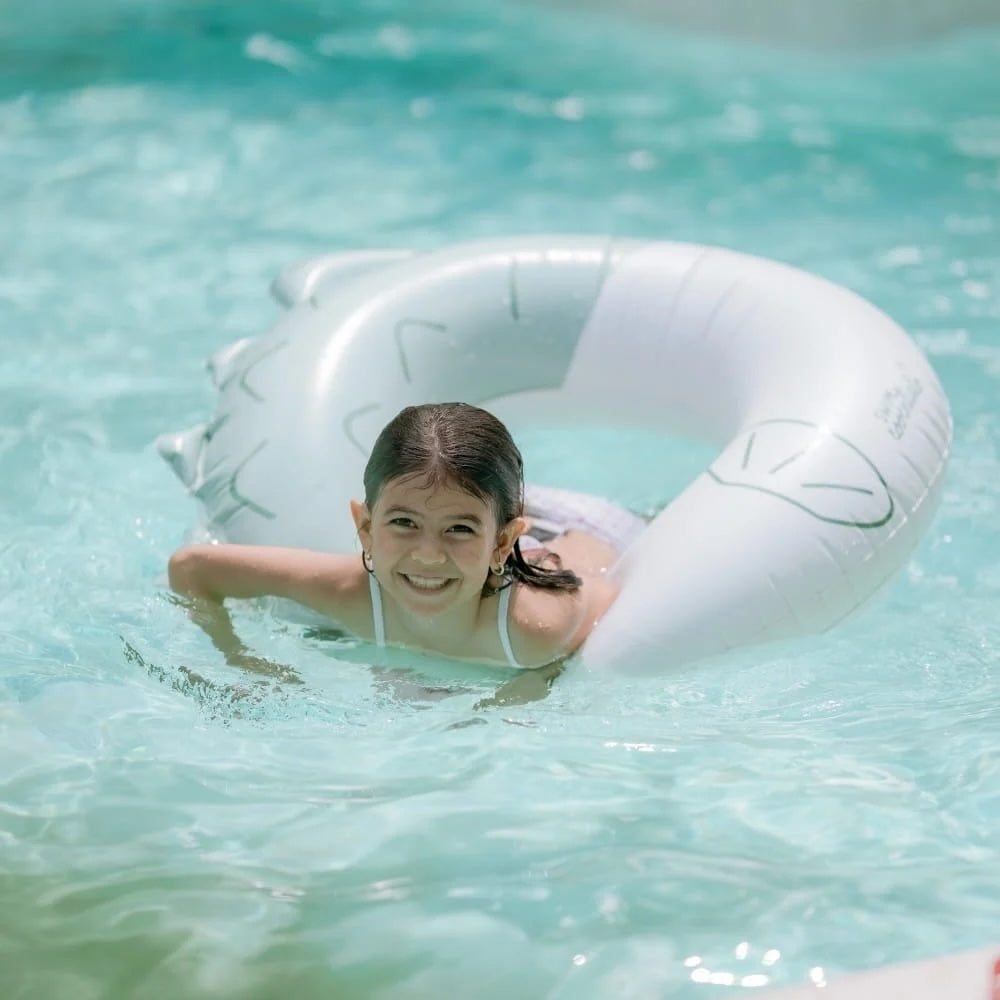 Inflatable Swim Ring 95cm / Puck Pufferfish