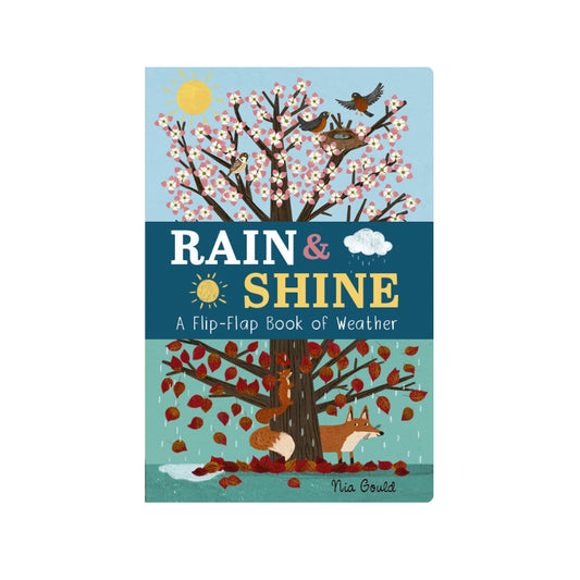 Rain and Shine: A Flip-Flap Book of Weather