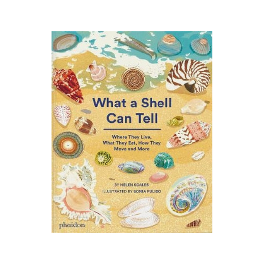 What A Shell Can Tell