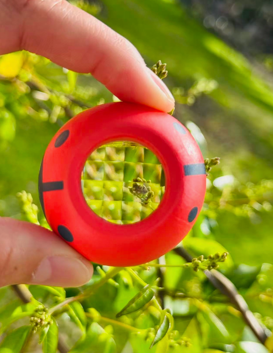 Wooden Magnifying Prism / Bee