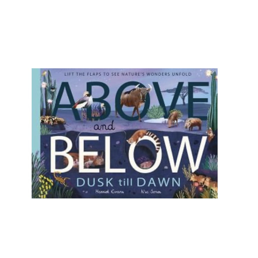 Above & Below: Dusk till Dawn