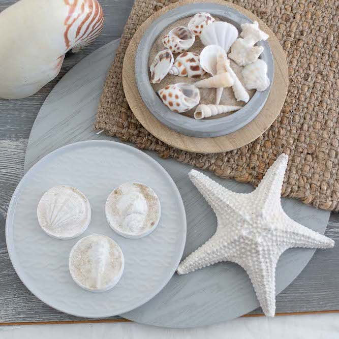 Fun Fossils Kit